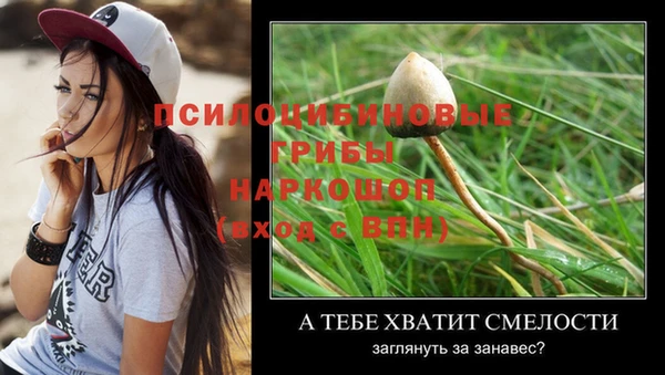 гидропоника Нязепетровск