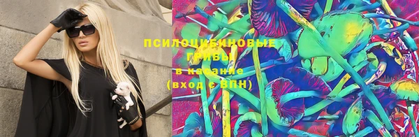 герыч Новокубанск