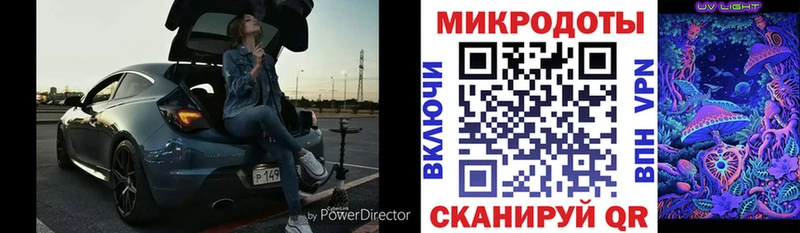 Псилоцибиновые грибы Psilocybe  Полтавская 
