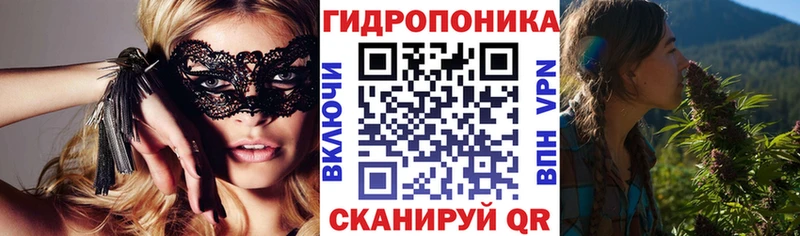Бошки марихуана OG Kush  Полтавская 